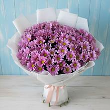 Букет цветов из:  Хризантемы в Кизилюрте